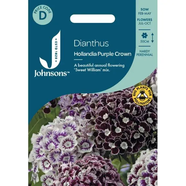 World Botanics Dianthus Hollandia Purple Crown zaden paars