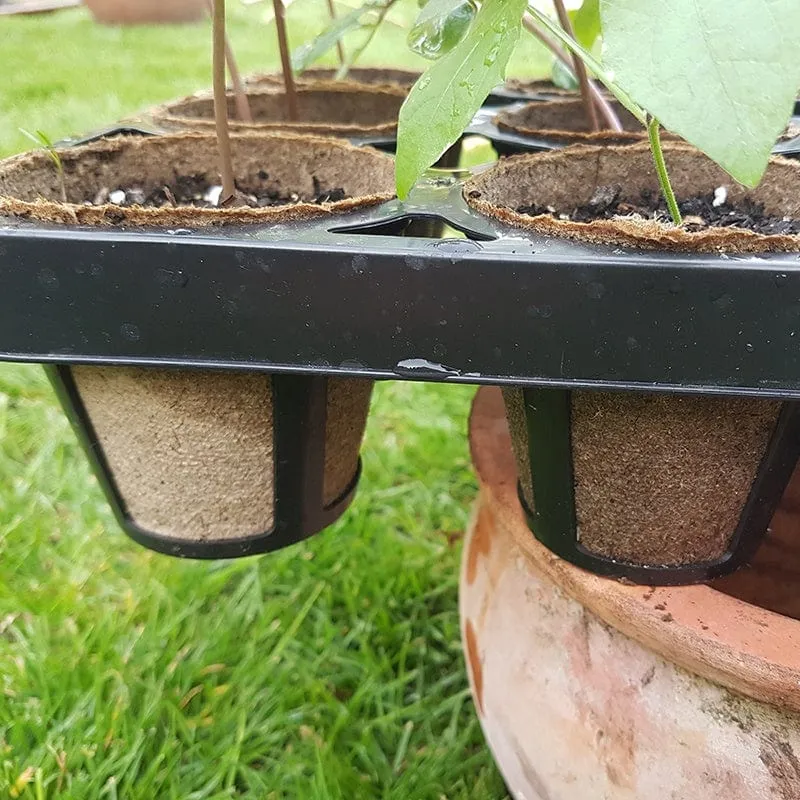 World Botanics Skelly Trays kweekbak 3 stuks 36 vakken biologisch