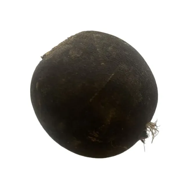 Vitale Rassen Rammenas Ronde Zwarte zaden