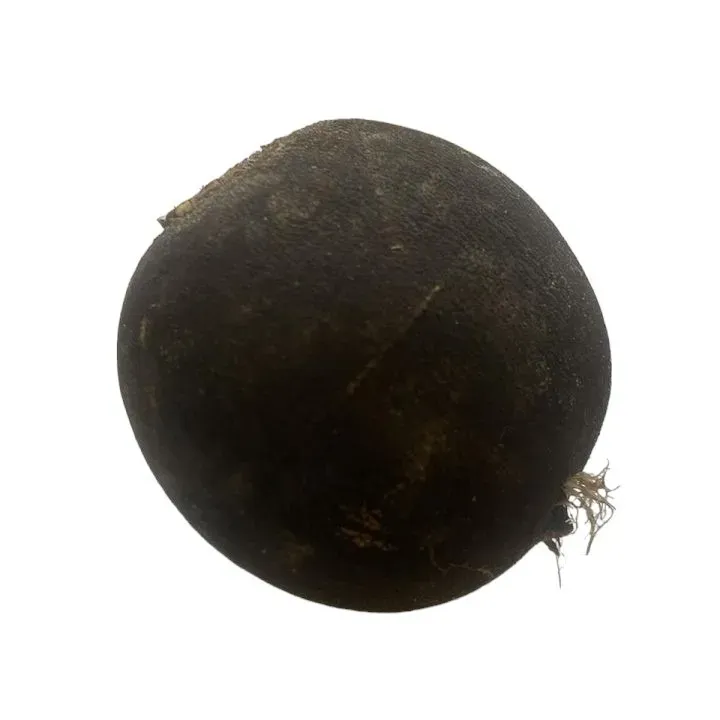 Vitale Rassen Rammenas Ronde Zwarte zaden