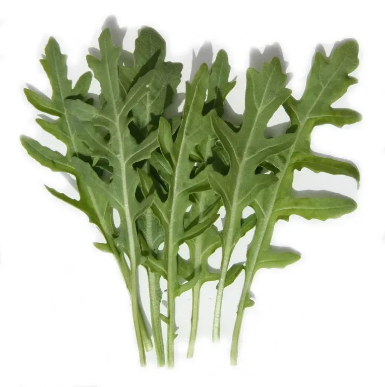 Vitale Rassen Rucola wilde groentezaden onbespoten