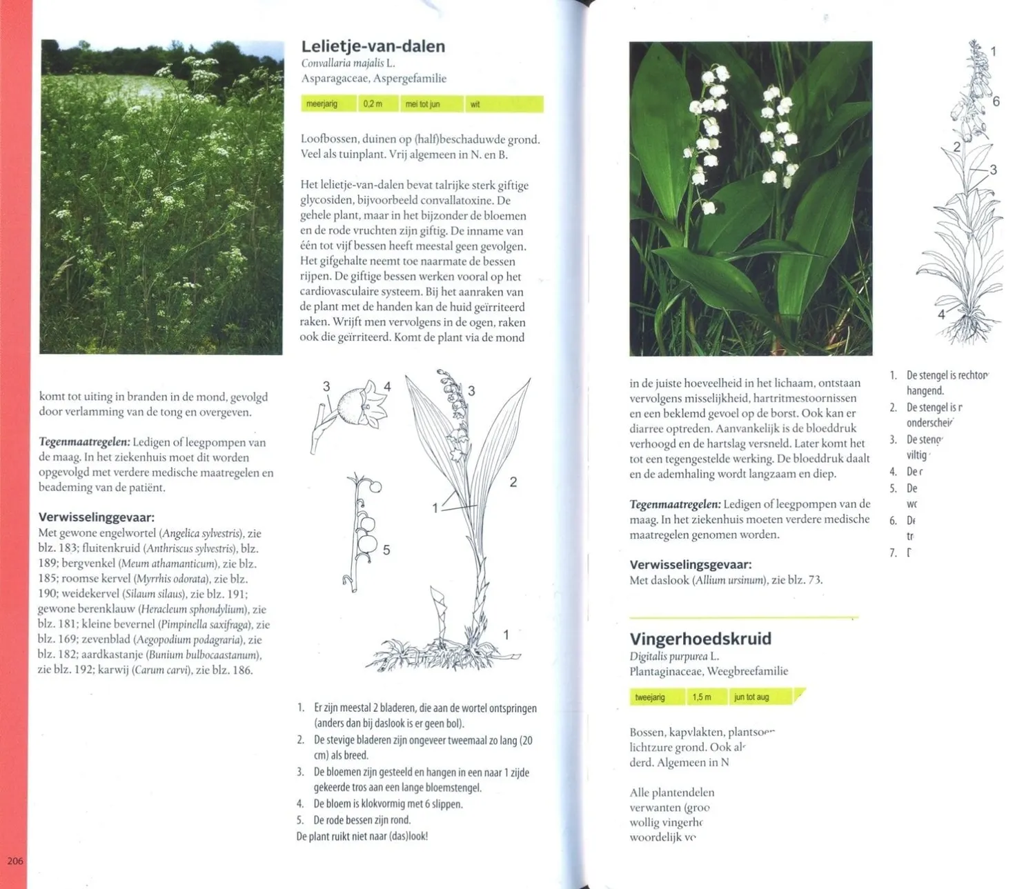 De Tuinen van MergenMetz Eetbare Wilde Planten boek wildplukken