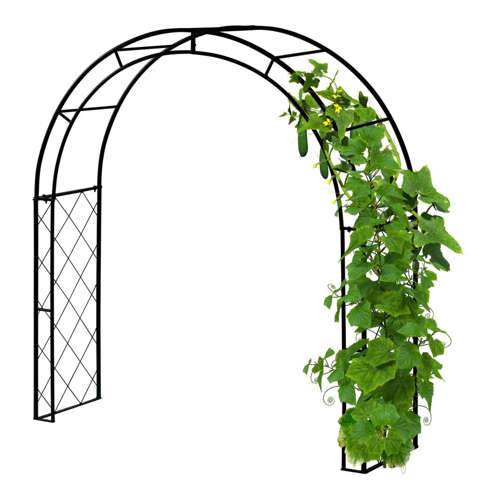 World Botanics VegTrug Climbing Arch klimboog zwart staal 144 cm