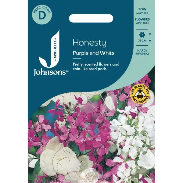 World Botanics Honesty Purple and White bloemzaden paars wit