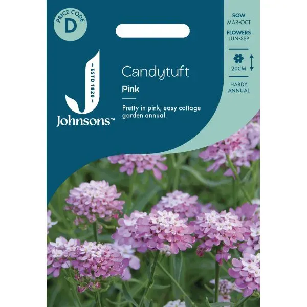 World Botanics Candytuft Pink bloemzaden roze