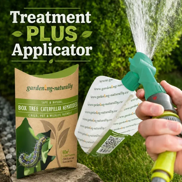 World Botanics buxusmot aaltjes met spuiter 2x30 m2