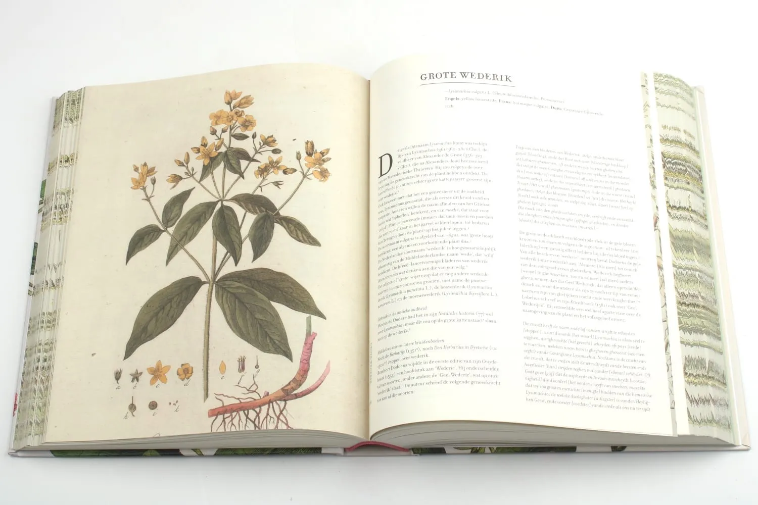 De Tuinen van MergenMetz Historia Naturalis boek kruiden 700 pagina’s