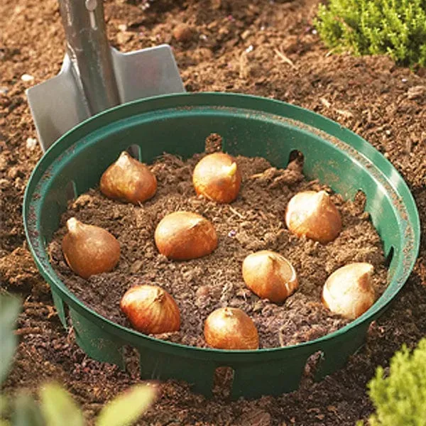 World Botanics Bollenmanden rond 26 cm set van 3