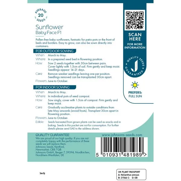 Johnsons Babyface F1 zonnebloemzaden compact 60 cm