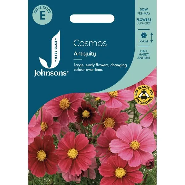 World Botanics Cosmos Antiquity zaden 75 cm halfhard