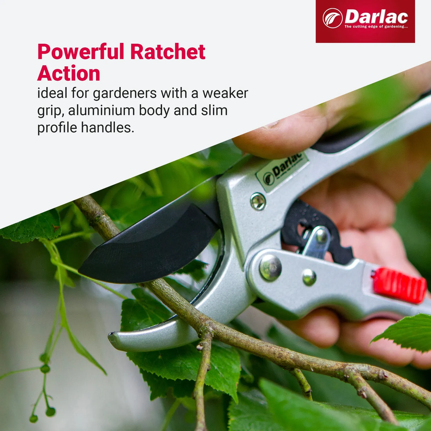 Darlac Super Classic Ratchet snoeischaar 25 mm