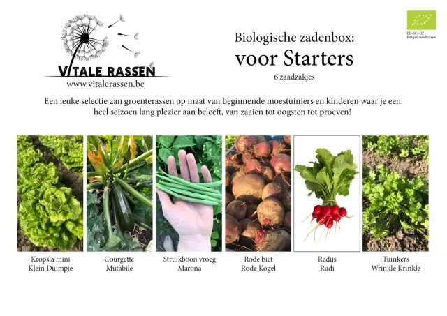 Vitale Rassen Zadenbox voor Starters moestuinbox compleet