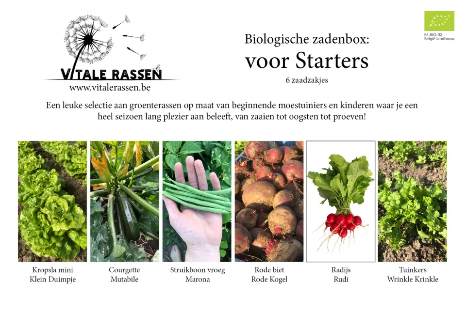 Vitale Rassen Zadenbox voor Starters moestuinbox compleet