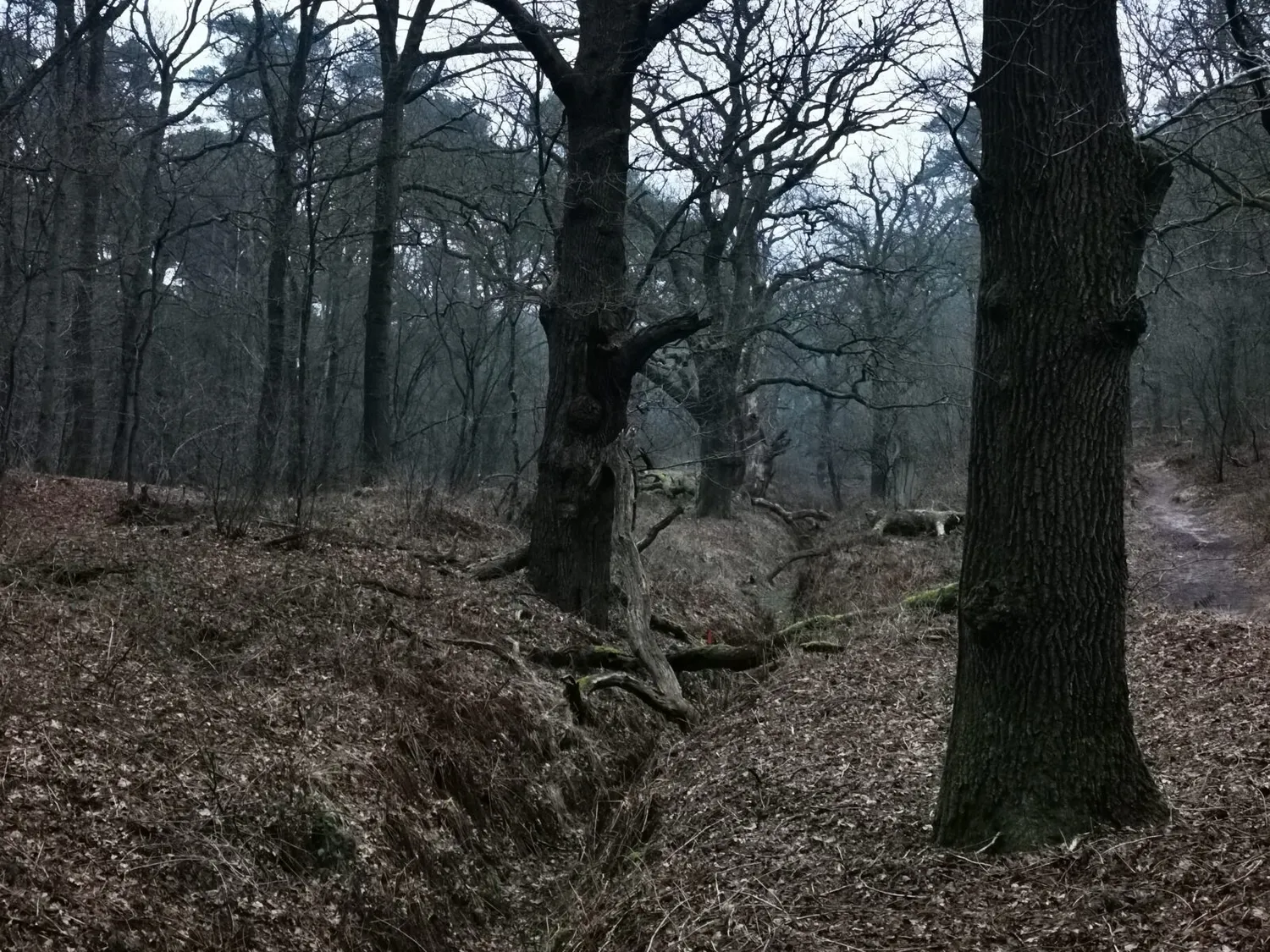 De Tuinen van MergenMetz Film en wandeling ticket 19 september eco
