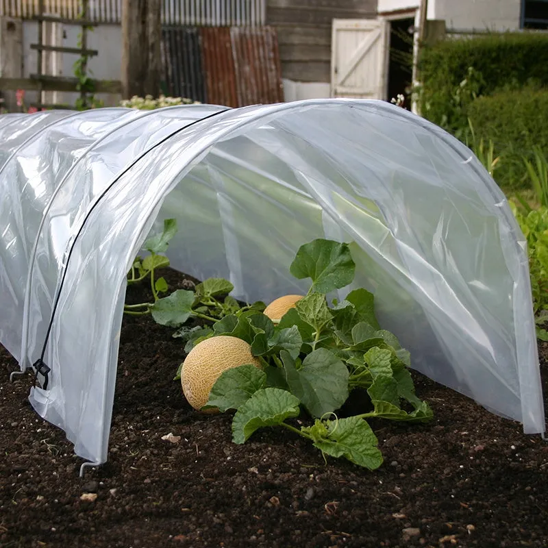 World Botanics Easy Poly Tunnel folietunnel 300cm vorstbescherming