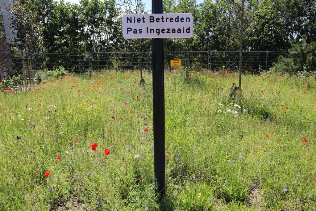 MediGran Landschapsflora LZ-1 bloemenmengsel zandgrond