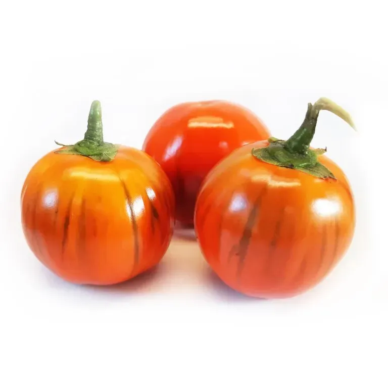 Vitale Rassen Aubergine rood Rosso di Napoli zaden