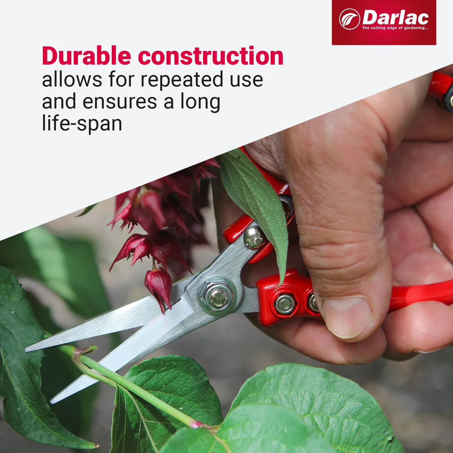 World Botanics Darlac Ergo Snips snoeischaar 170 mm