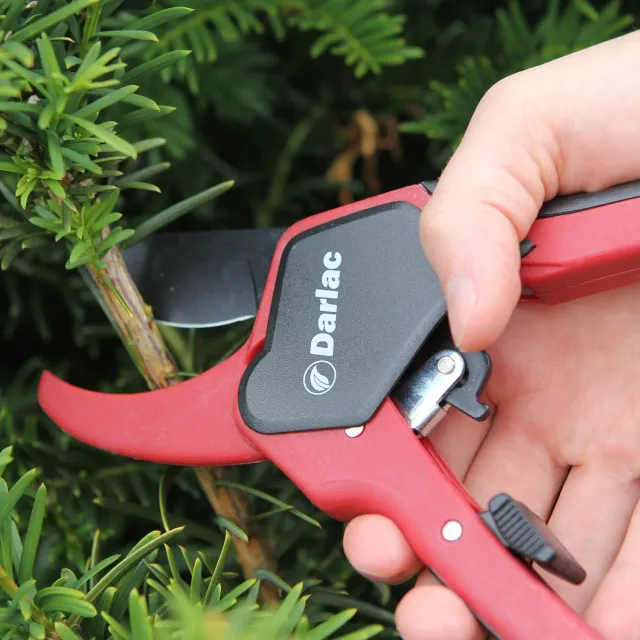 Darlac Classic Ratchet snoeischaar met ratel 25mm