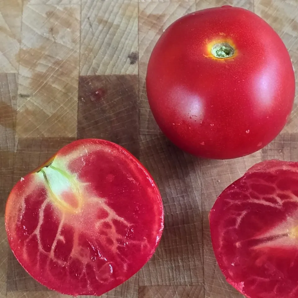 De Tuinen van MergenMetz Kampioen tomatenzaden onbespoten