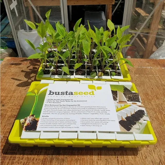 World Botanics Bustaseed zaaibak met deksel herbruikbaar