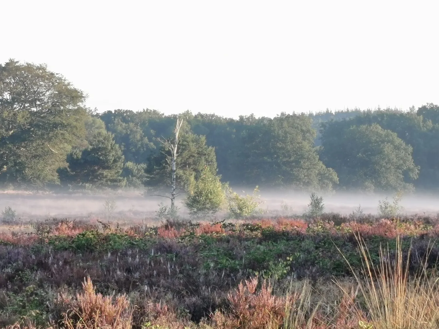De Tuinen van MergenMetz Film en wandeling ticket 19 september eco