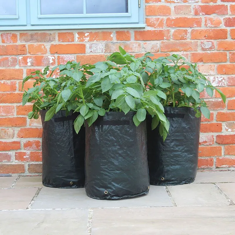 World Botanics aardappel planters 40 liter 3 stuks