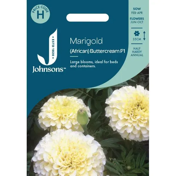 World Botanics Buttercream afrikaantjeszaden bleekgeel