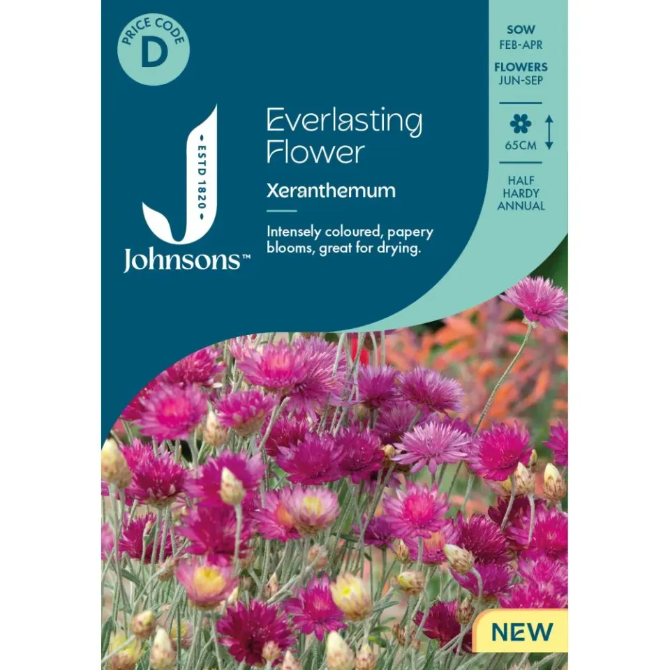 World Botanics Xeranthemum Everlasting Flower bloemzaden droogbloem