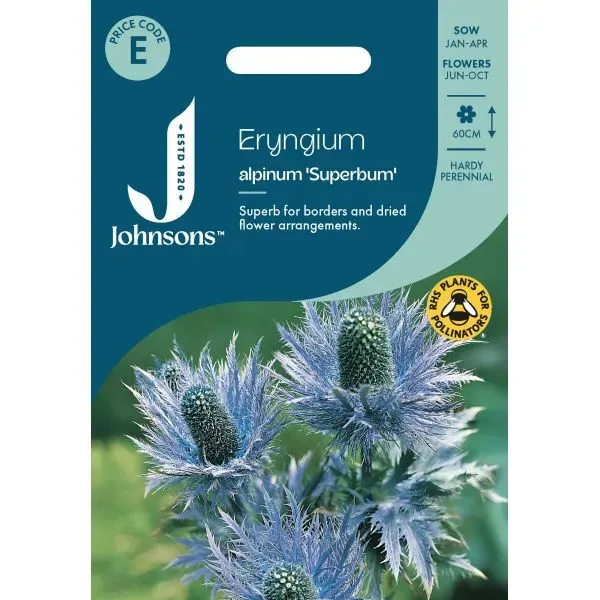 World Botanics Eryngium Alpinum Superbum zaden blauw