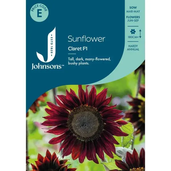 World Botanics Claret F1 zonnebloemzaden bordeauxrood