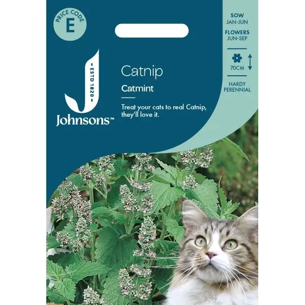 World Botanics Catnip Catmint zaden kattenkruid onbespoten