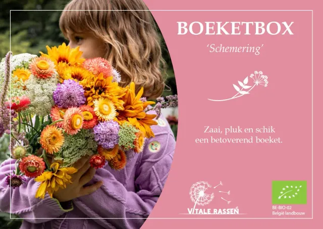 Vitale Rassen Boeketbox Schemering plukbloemenmix
