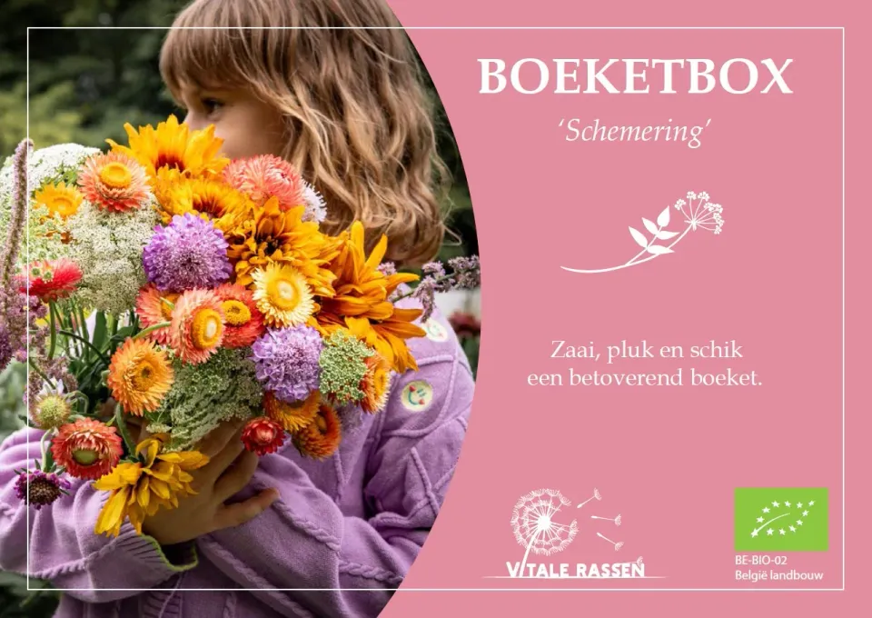 Vitale Rassen Boeketbox Schemering plukbloemenmix