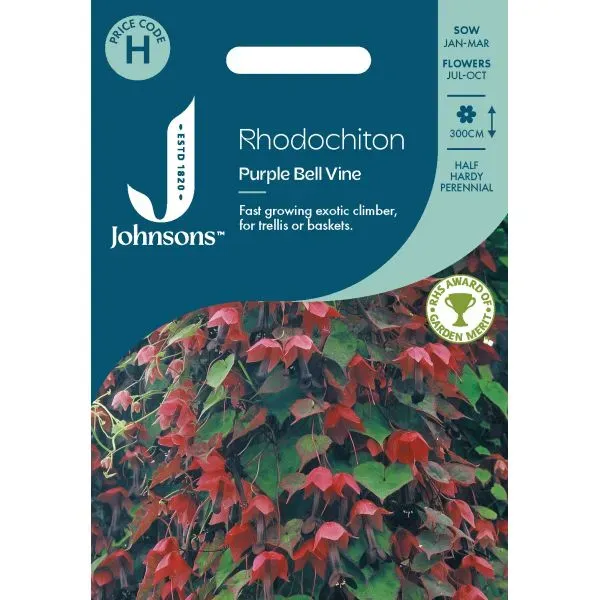World Botanics Purple Bell klimplant zaden paars klimmer 3 m