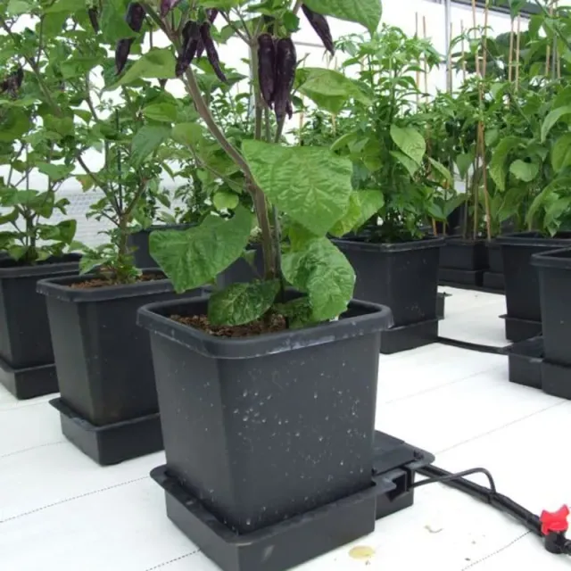 World Botanics Autopot Uitbreiding 1 pot 15 liter zwart