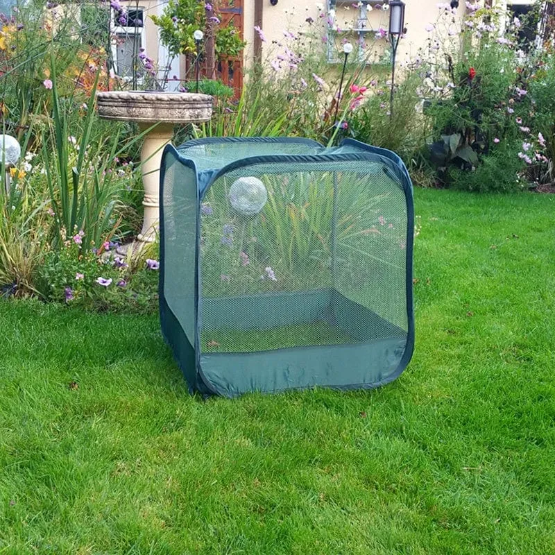 World Botanics Mini Pop-Up Net Cube gaaskooi 50 cm