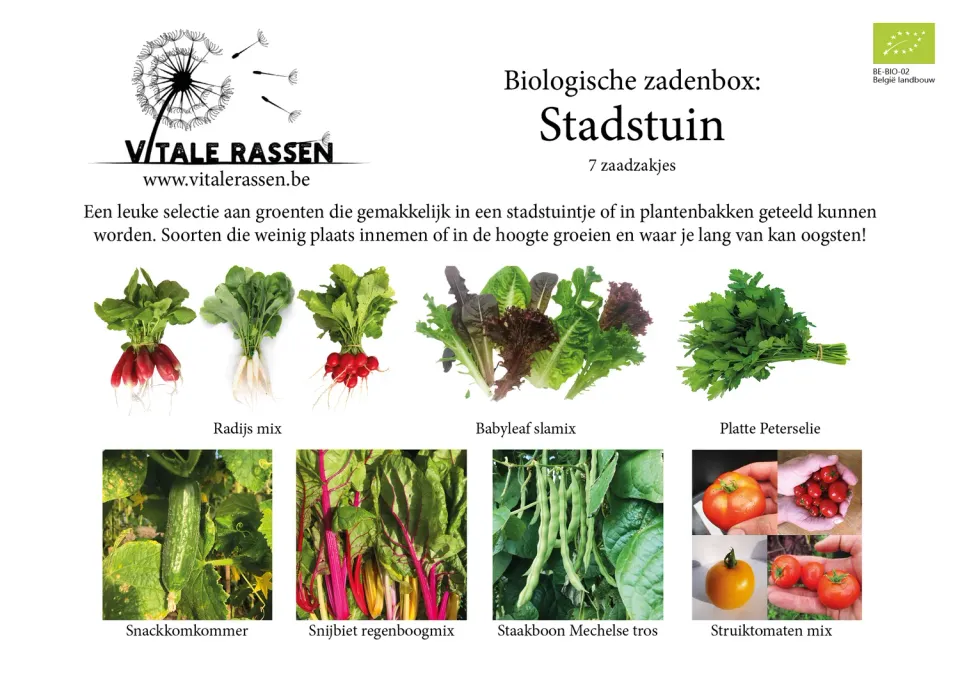 Vitale Rassen Zadenbox Stadstuin zaden mix