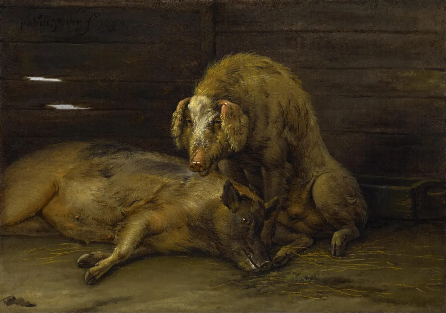 De Tuinen van MergenMetz De Bonte Bentheimer boek zeldzaam ras
