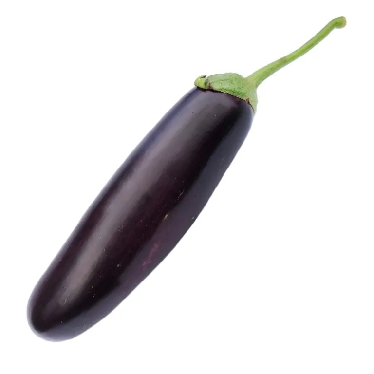 Vitale Rassen Astrakom buiten-aubergine zaden