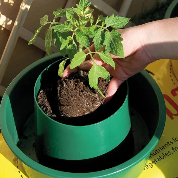 World Botanics Growpot Tomato kweekpotten 3 stuks