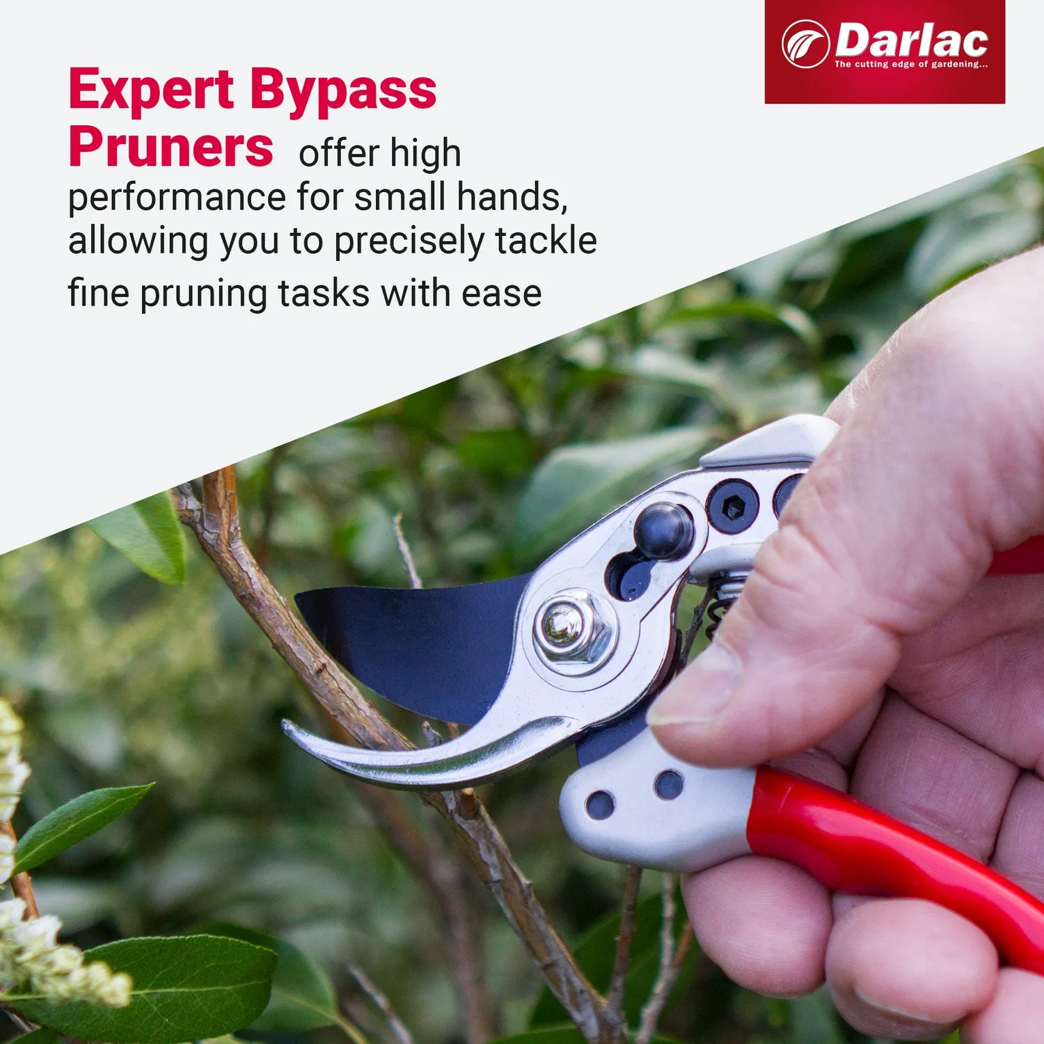 Darlac Expert Bypass Small snoeischaar klein 15mm