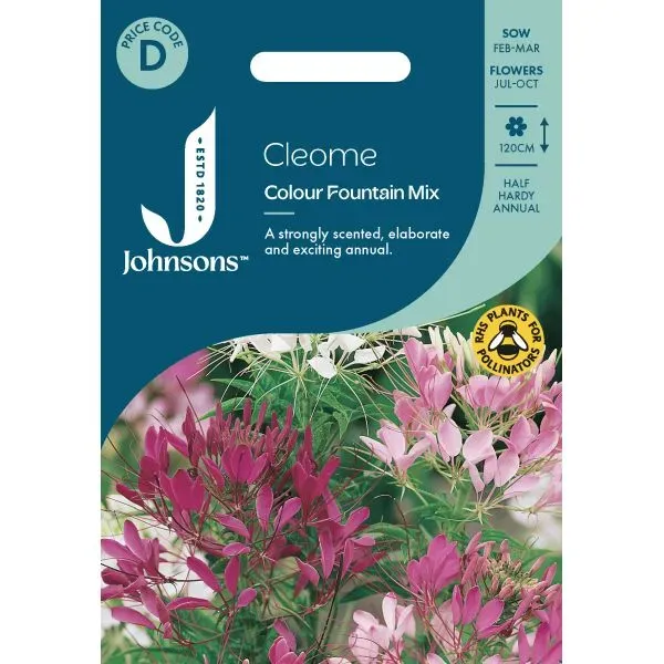 World Botanics Cleome Colour Fountain Mix bloemzaden eenjarig