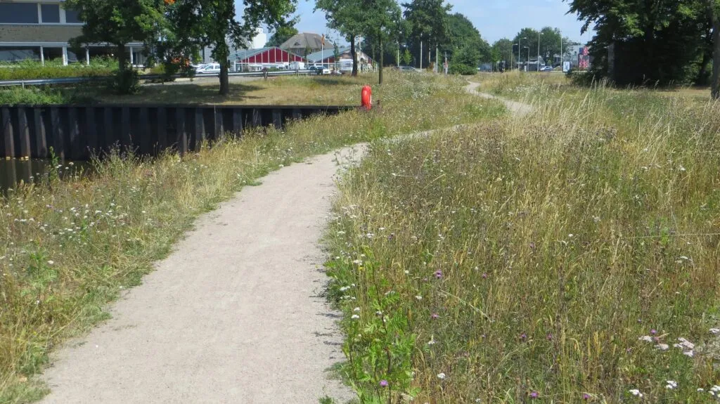 MediGran Graslandflora GD-67 bloemenmengsel zandgrond