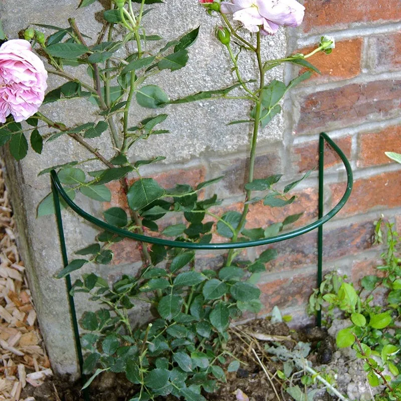 World Botanics border plantensteun 51cm 5 stuks groen