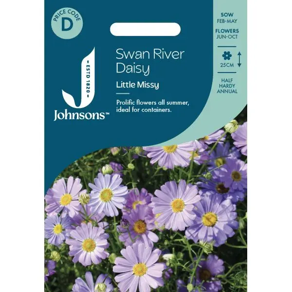 World Botanics Swan River Daisy Little bloemzaden zomerbloeier