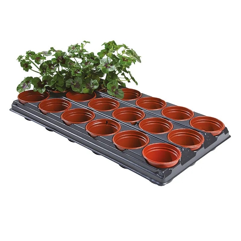 World Botanics verspeentray kweekbak 18x9cm