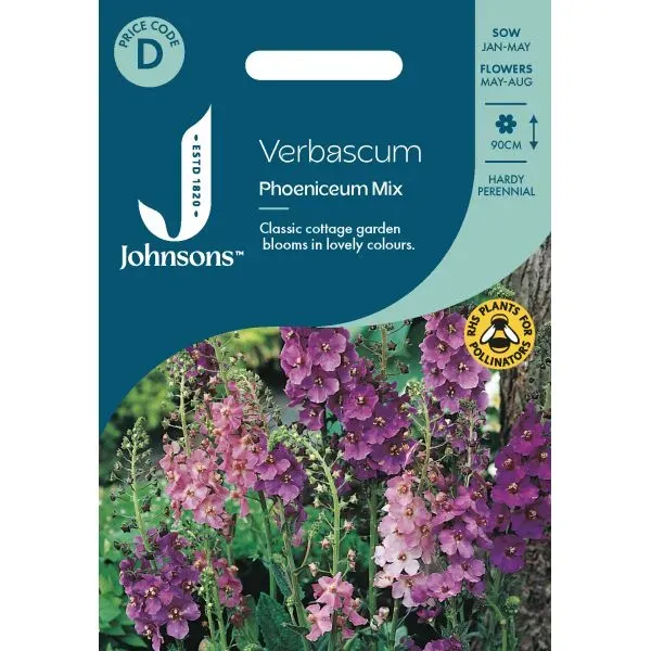 World Botanics Verbascum Phoeniceum toorts zaden mix 90cm