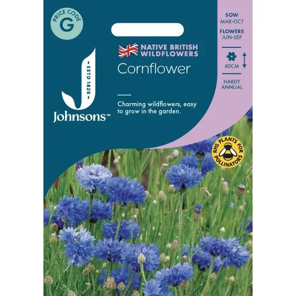 World Botanics korenbloem zaden wild blauw bijenmix
