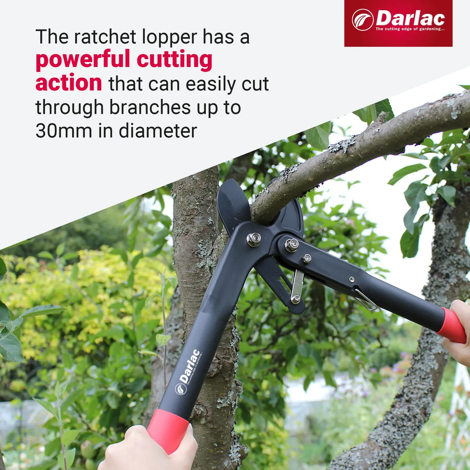 Darlac Handy Ratchet takkenschaar met ratel lichtgewicht